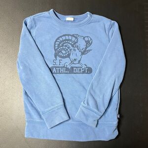 Gap Boy's Blue San Francisco Terry Lined Graphic Print Crewneck Pullover Sweater